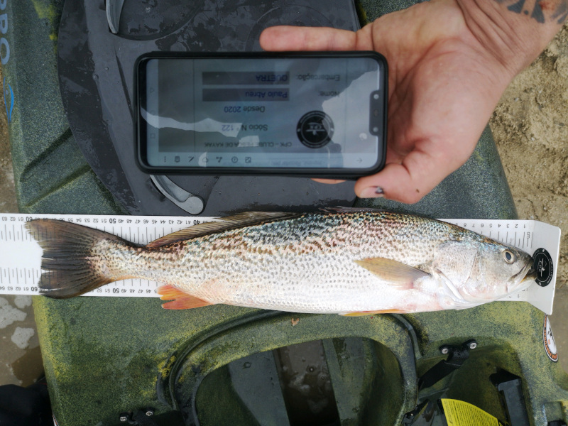 Fish Measure Picture