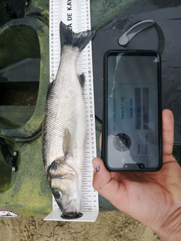 Fish Measure Picture
