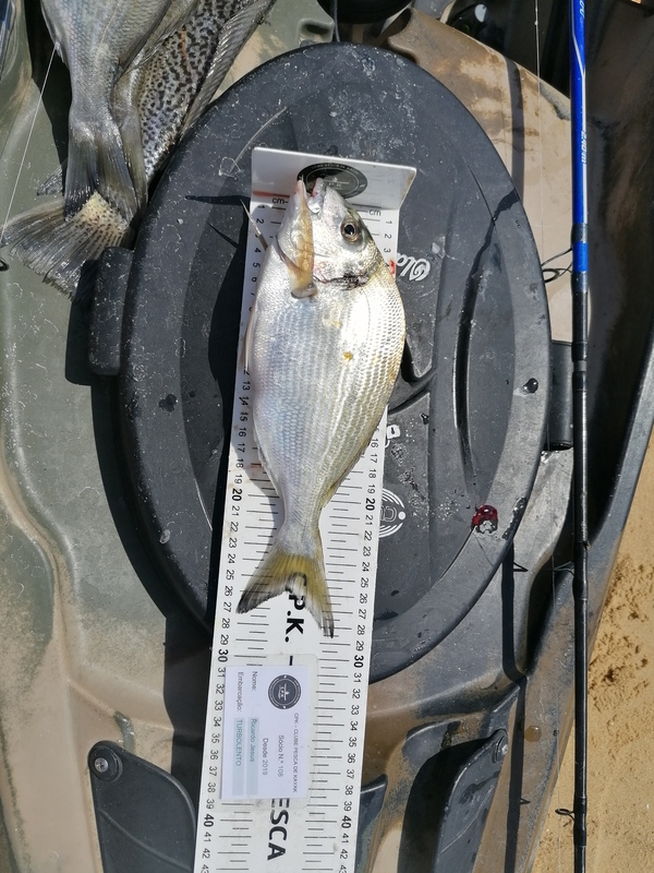Fish Measure Picture