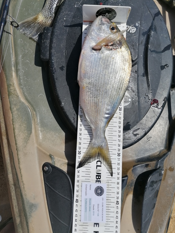 Fish Measure Picture
