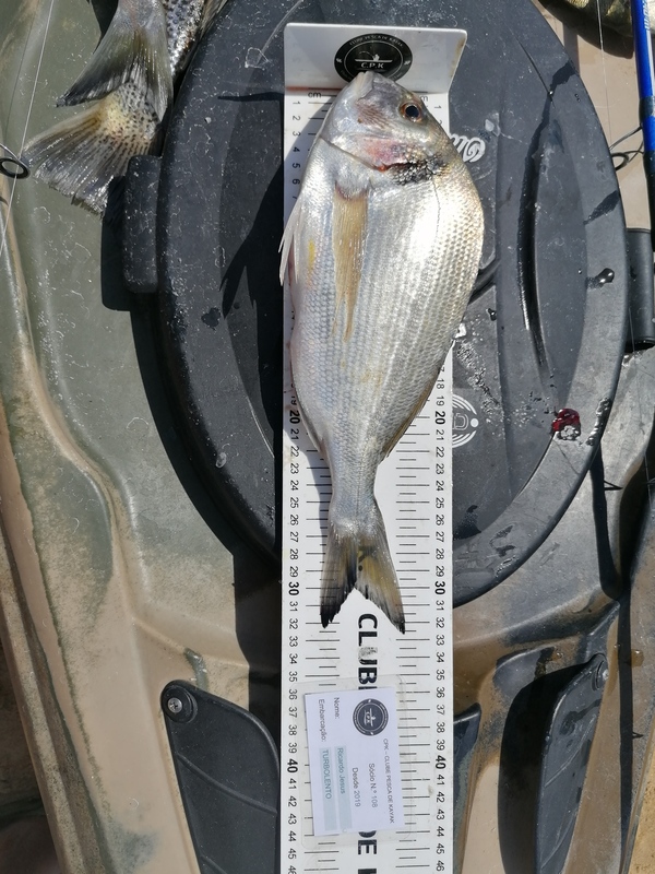 Fish Measure Picture