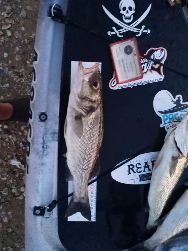 Fish Measure Picture