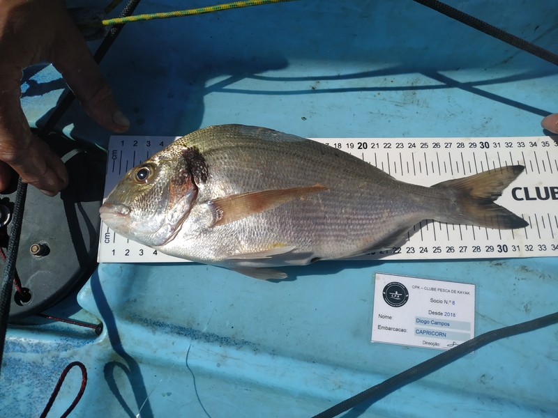 Fish Measure Picture