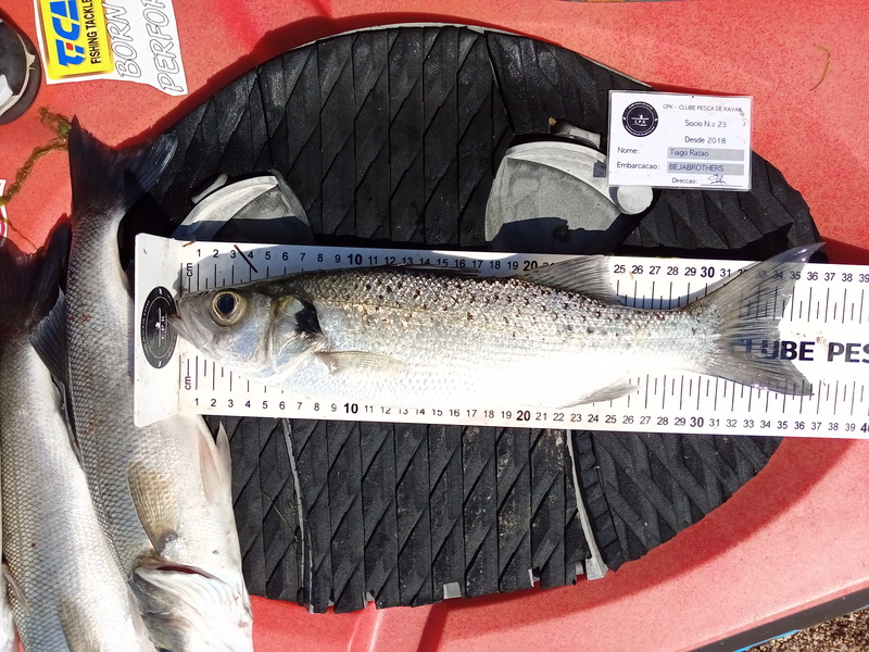 Fish Measure Picture