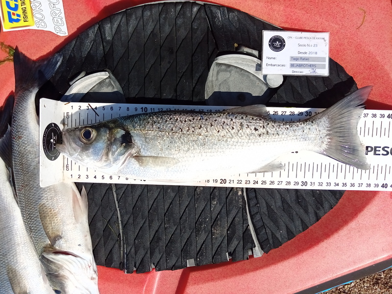 Fish Measure Picture