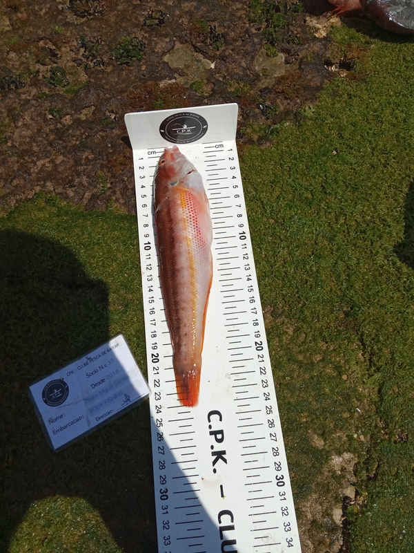 Fish Measure Picture