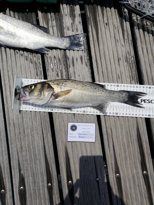 Fish Measure Picture