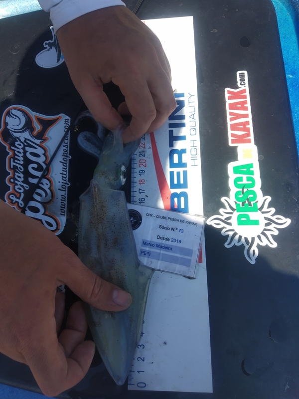 Fish Measure Picture