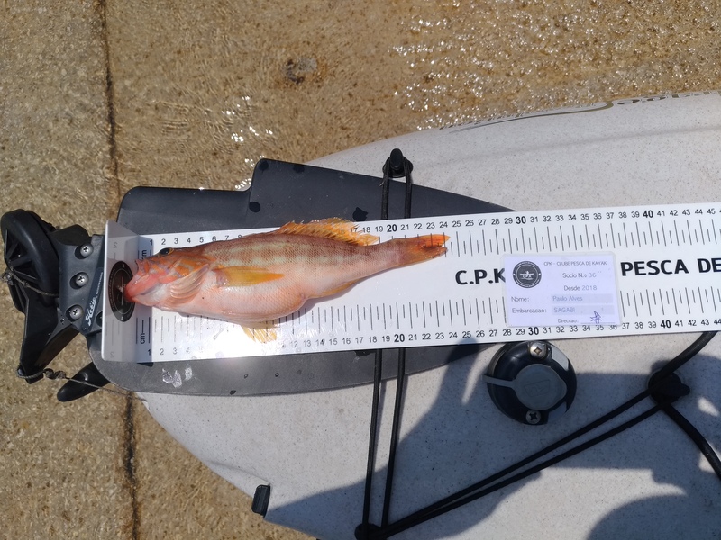 Fish Measure Picture