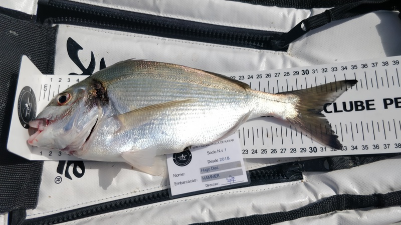 Fish Measure Picture