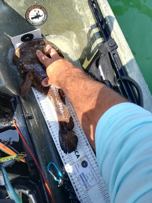 Fish Measure Picture