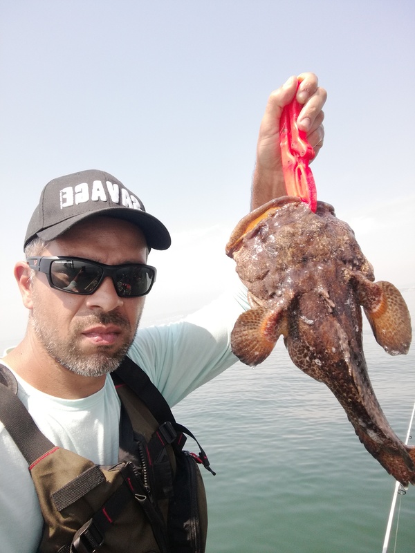 Fish Profile Picture