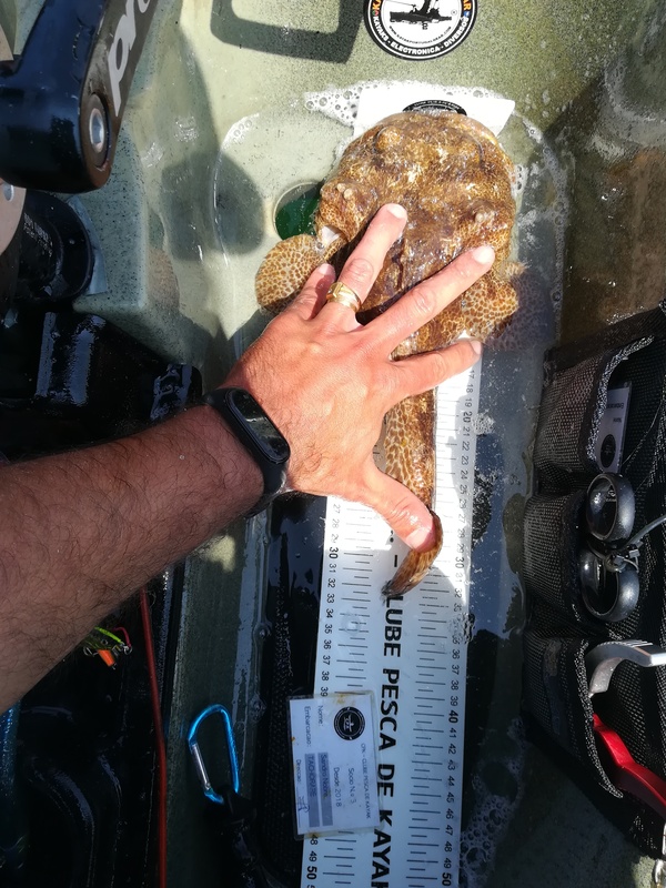 Fish Measure Picture