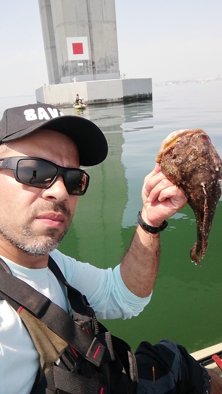 Fish Profile Picture
