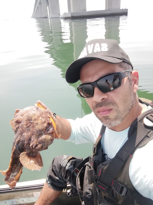 Fish Profile Picture