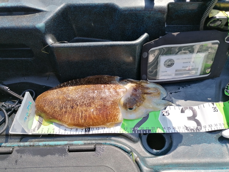 Fish Measure Picture