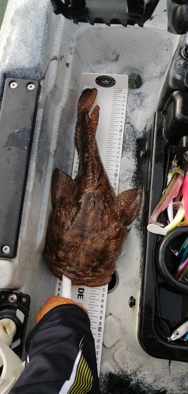 Fish Measure Picture