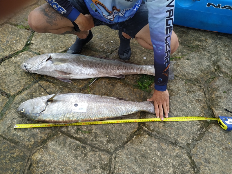 Fish Measure Picture