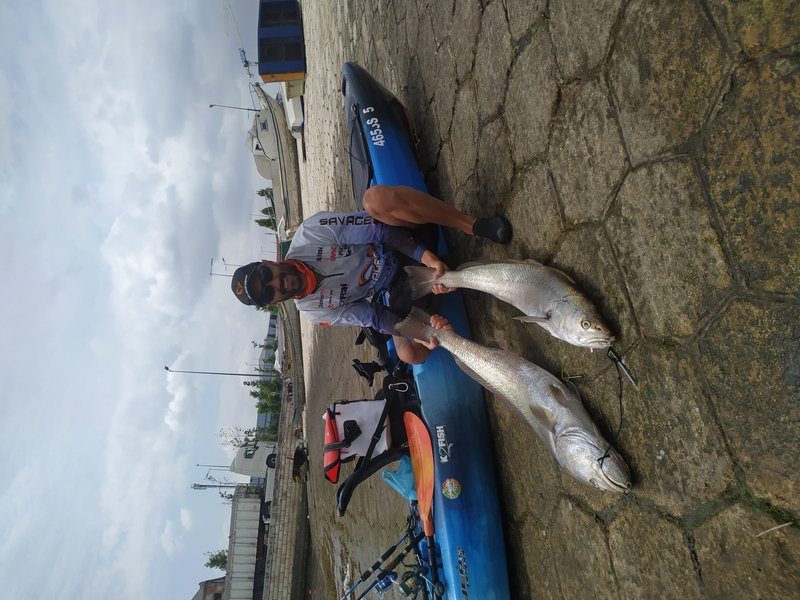 Fish Profile Picture