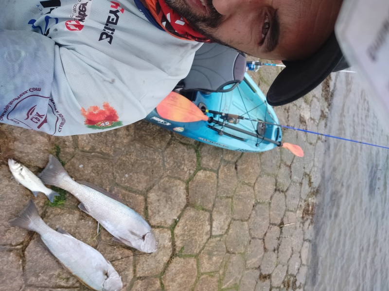 Fish Profile Picture