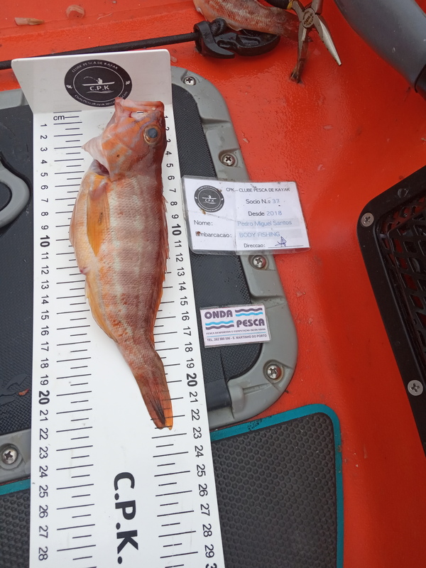 Fish Measure Picture