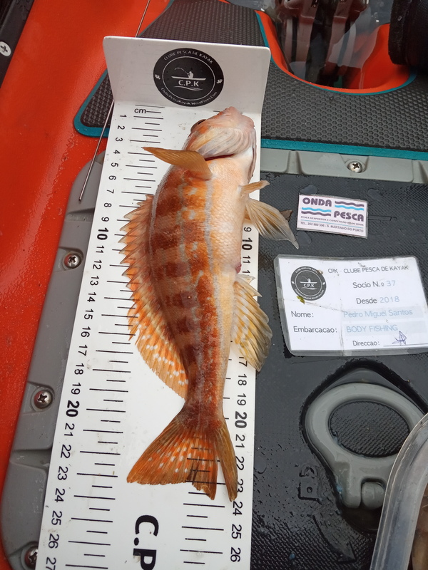 Fish Measure Picture