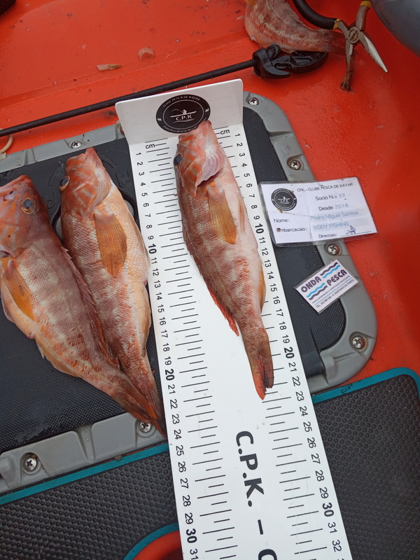 Fish Measure Picture