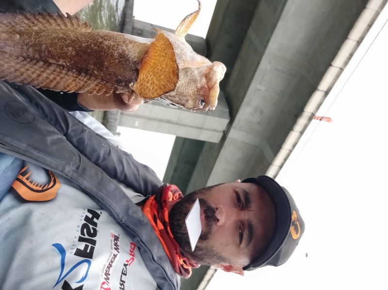 Fish Profile Picture