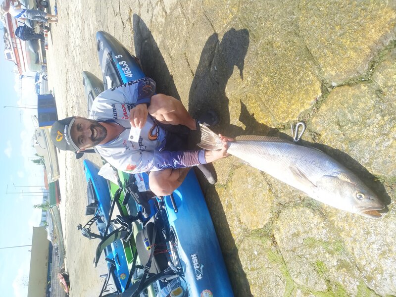 Fish Profile Picture