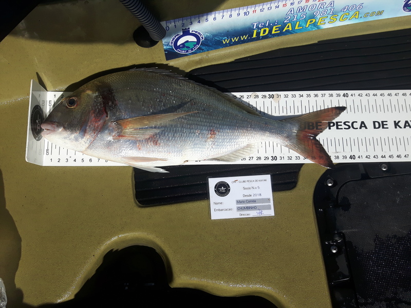 Fish Measure Picture