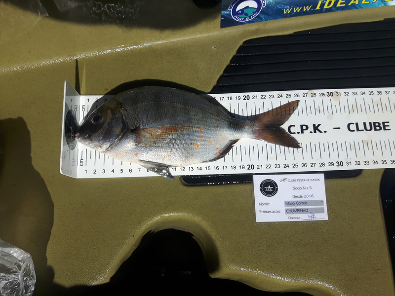 Fish Measure Picture