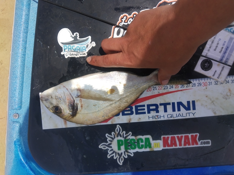 Fish Measure Picture