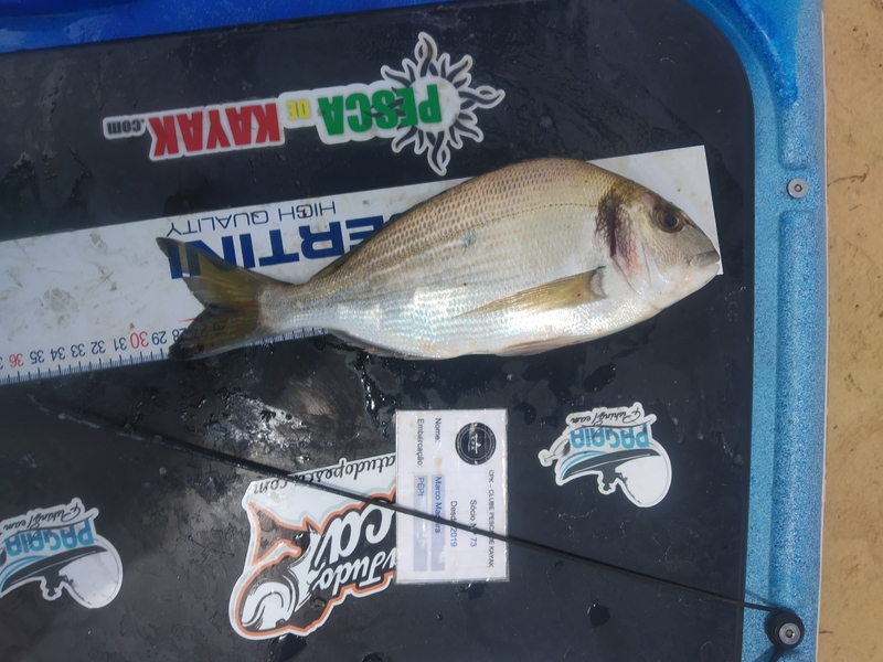 Fish Measure Picture