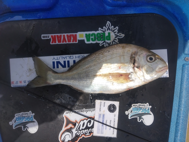 Fish Measure Picture