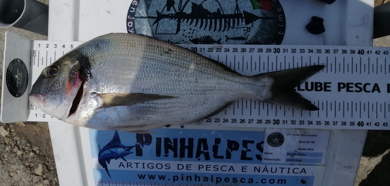 Fish Measure Picture