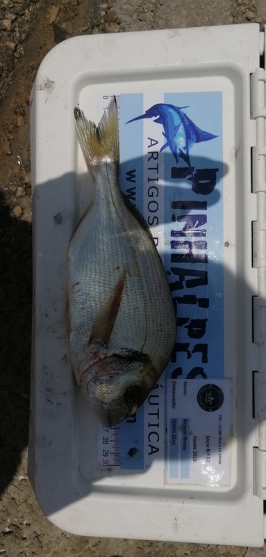 Fish Measure Picture