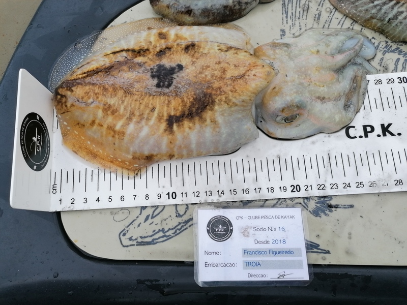 Fish Measure Picture