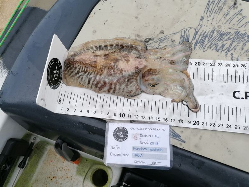 Fish Measure Picture