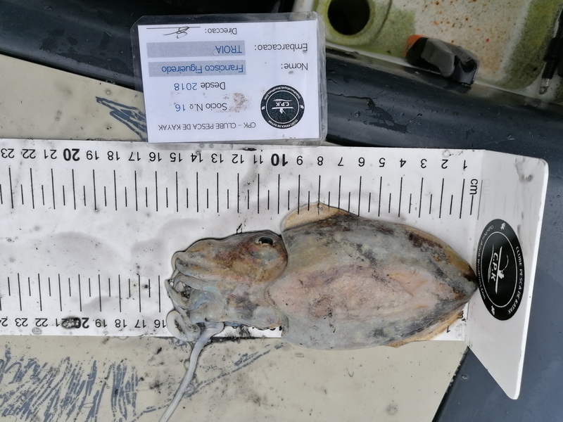 Fish Measure Picture