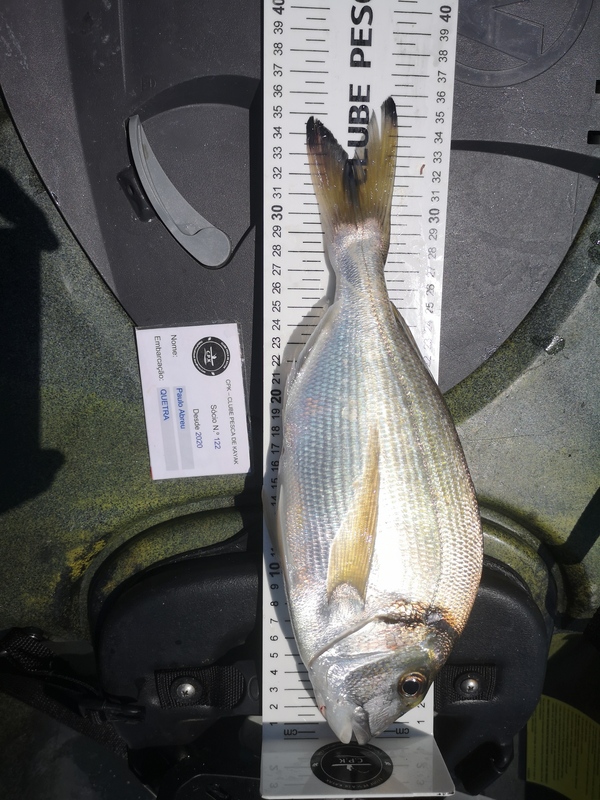 Fish Measure Picture