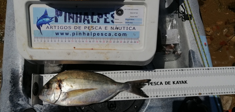 Fish Measure Picture