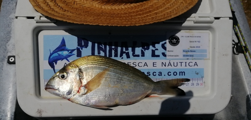Fish Measure Picture