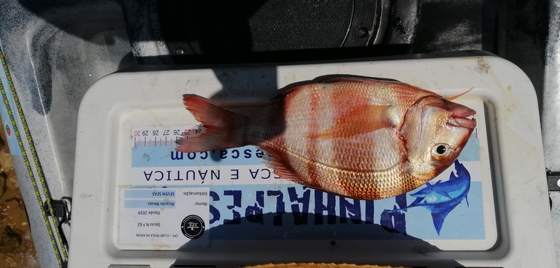 Fish Measure Picture