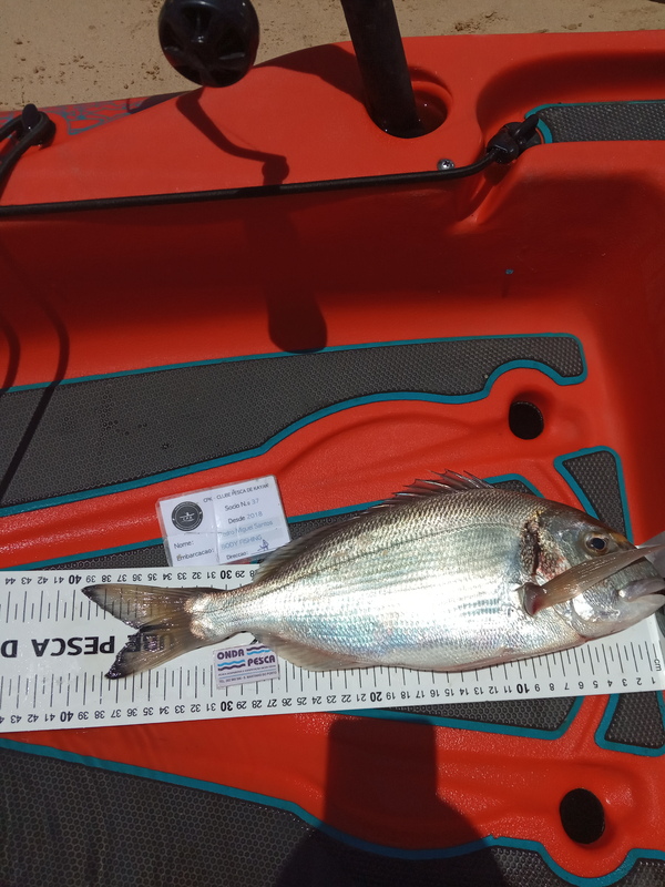 Fish Measure Picture