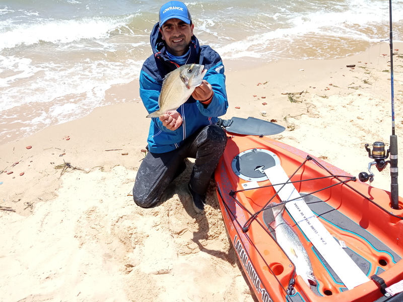 Fish Profile Picture