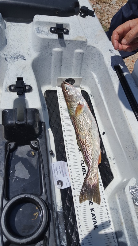 Fish Measure Picture