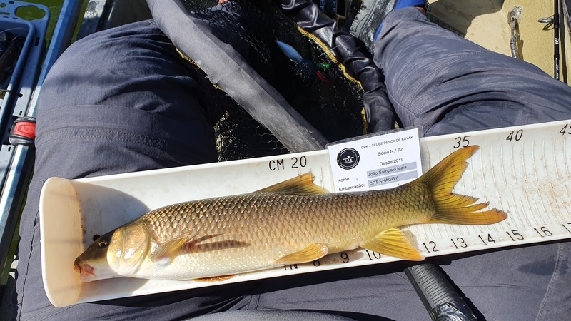 Fish Measure Picture