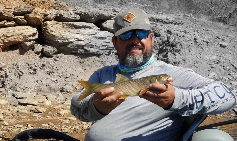 Fish Profile Picture