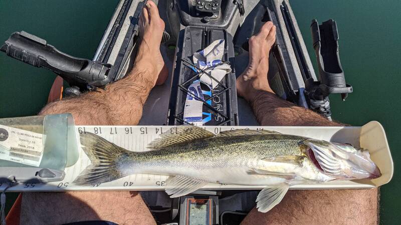 Fish Measure Picture