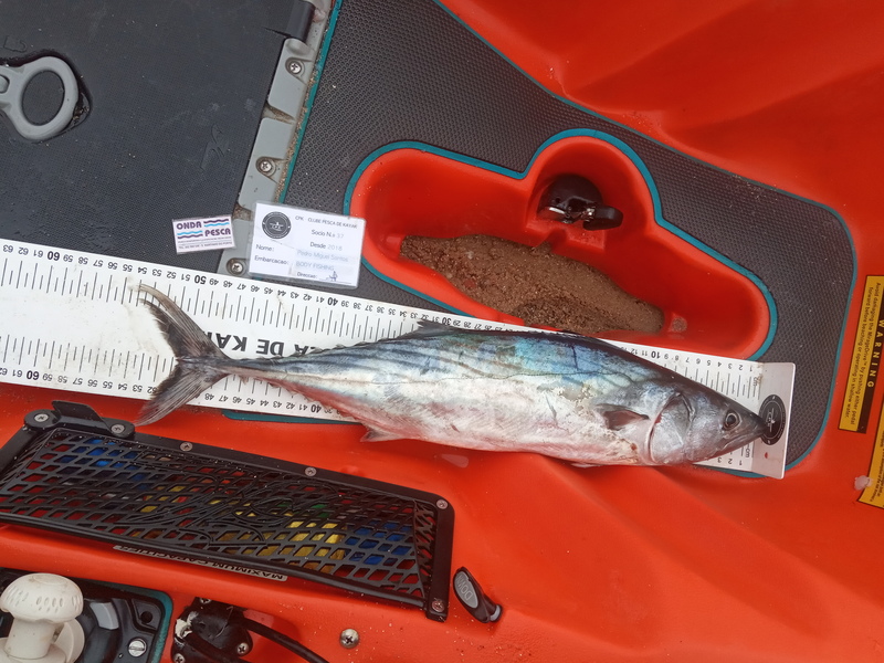 Fish Measure Picture